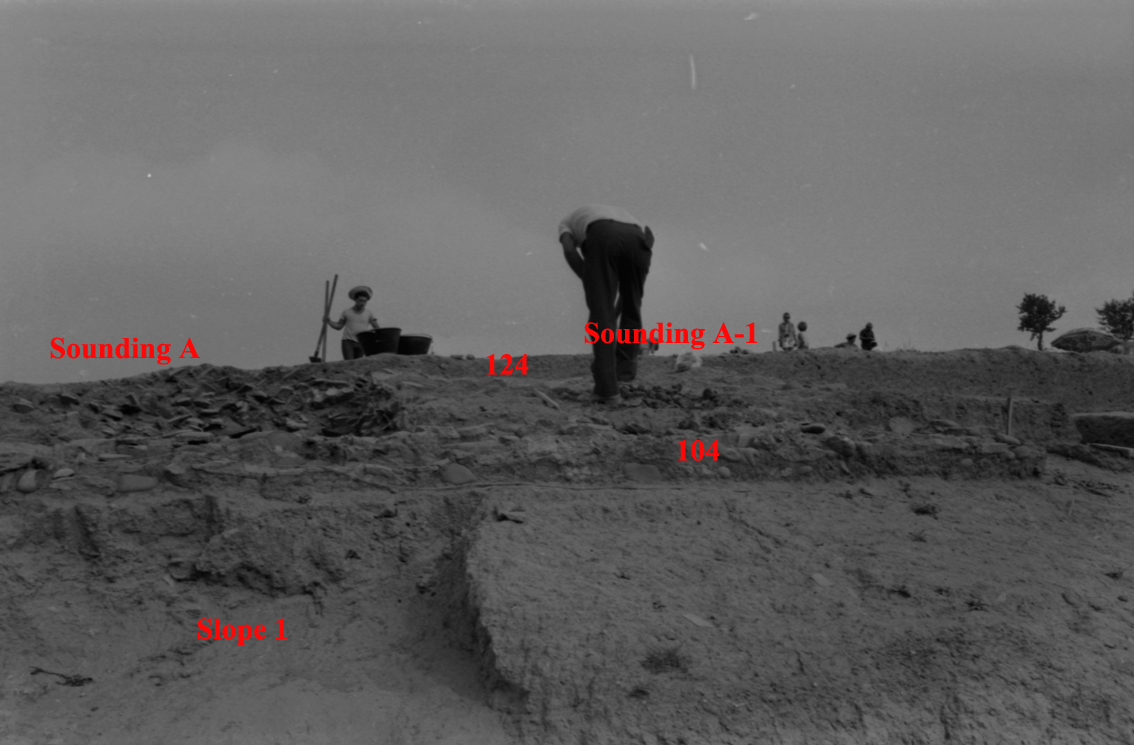 SAV_soundinga-soundinga1-slope1-us104-us124