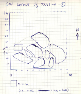 PZ74_FieldNotebookI_p41